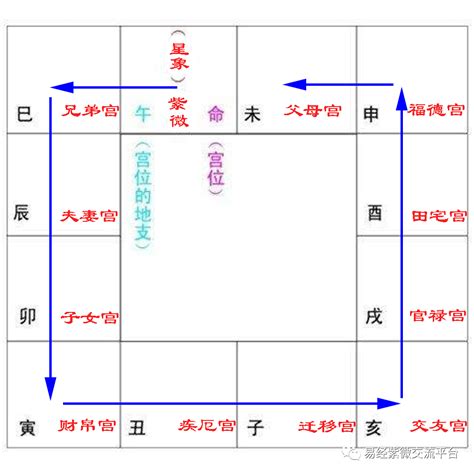 命狀 紫微斗數宮位